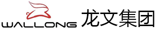 龙文集团logo