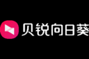 SunloginControl